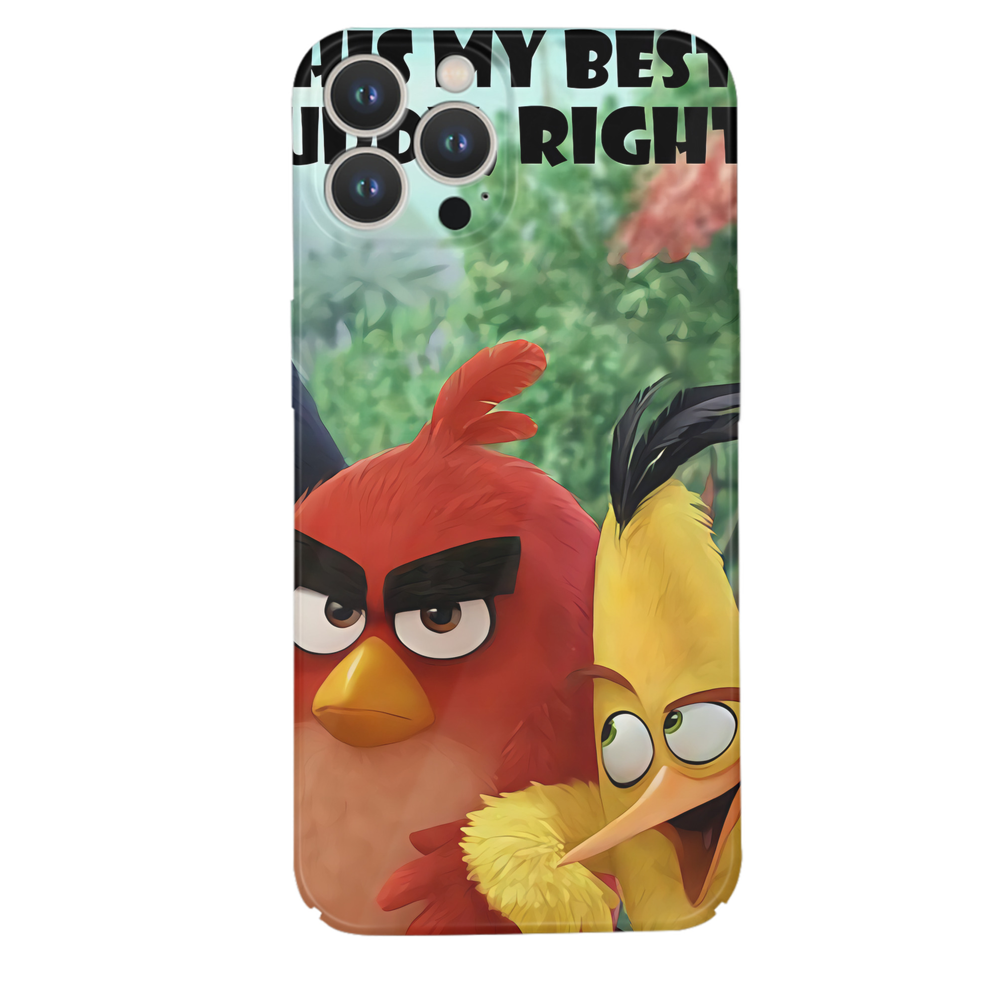 （画像用） Angry Birds アングリーバード 【iPhone 14シリーズ対応】ハードケース